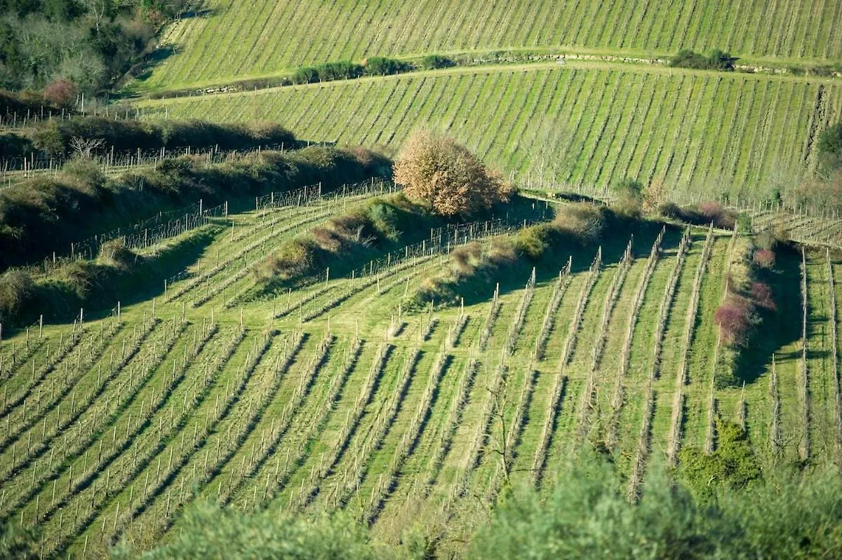 My Exclusive Italy - Chianti'S Villa With Vineyard, Infinity Pool & View بانسانو